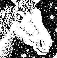 A Kelpie takes her foal to the tire swing.