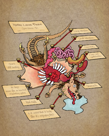 The cover of Shanks Family Legacy.